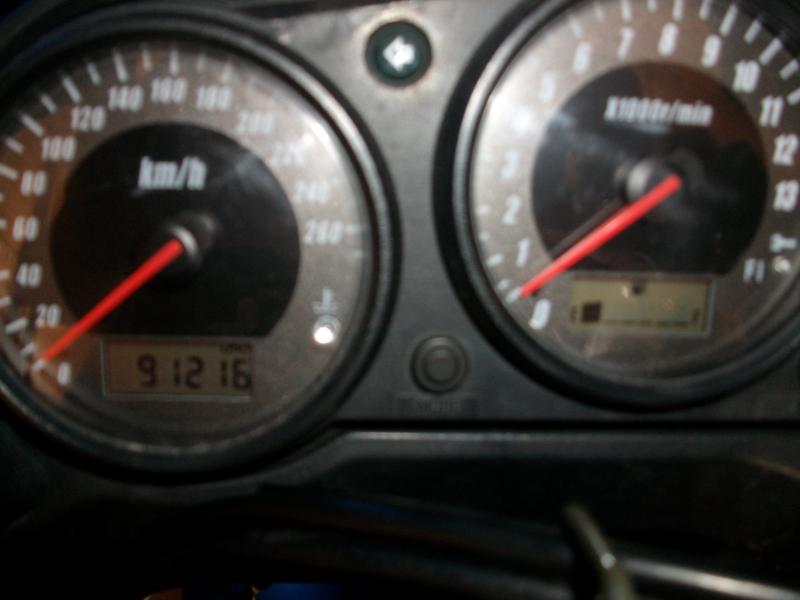 IMGP3731.JPG