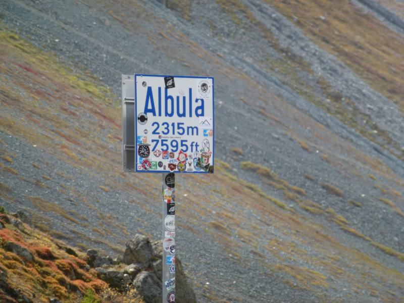 8Albula2.JPG