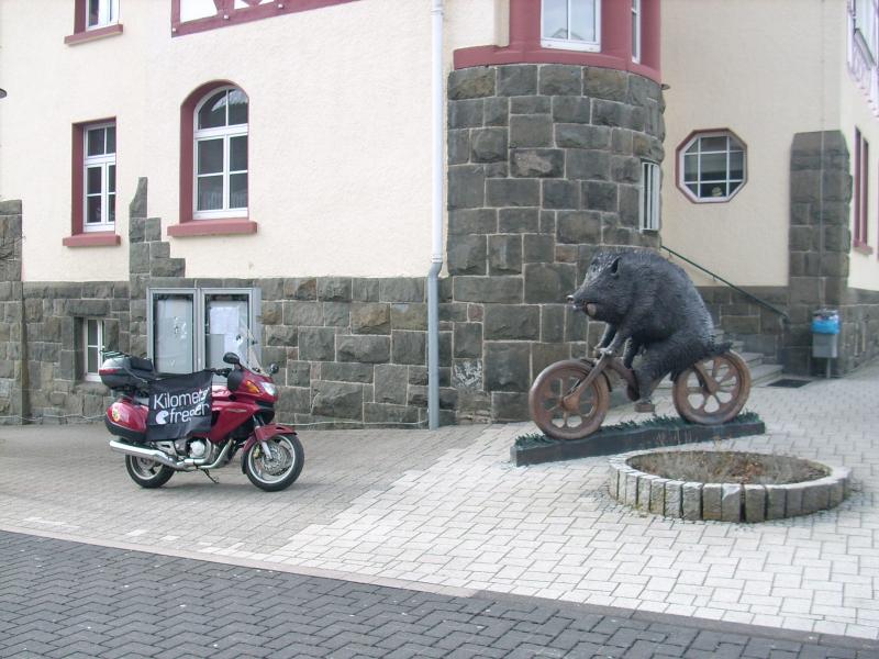 Radelnder Keiler, Netphen_N50.912263, E8.103419 .JPG