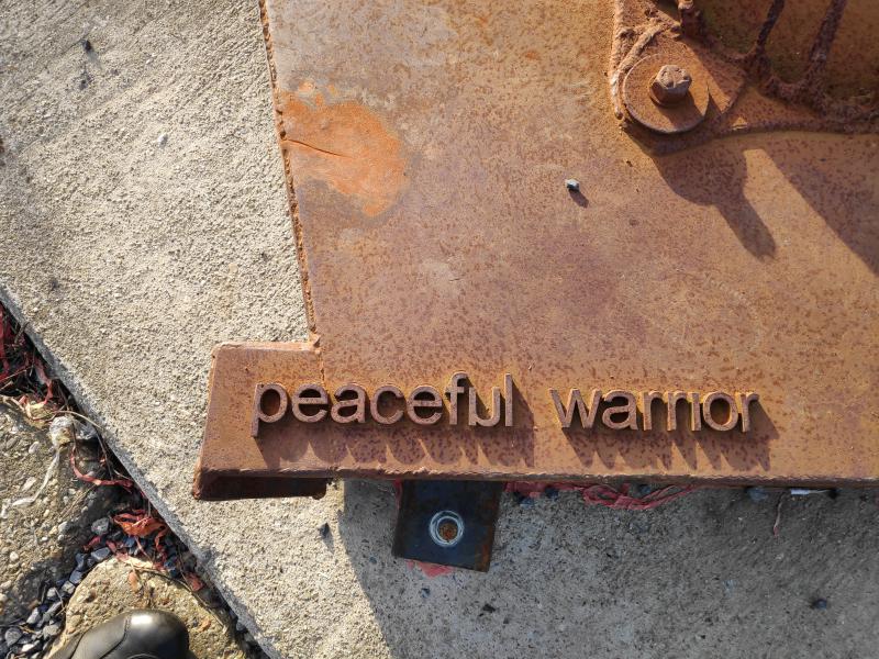 IMG_20190216_Peaceful warrior 2.jpg