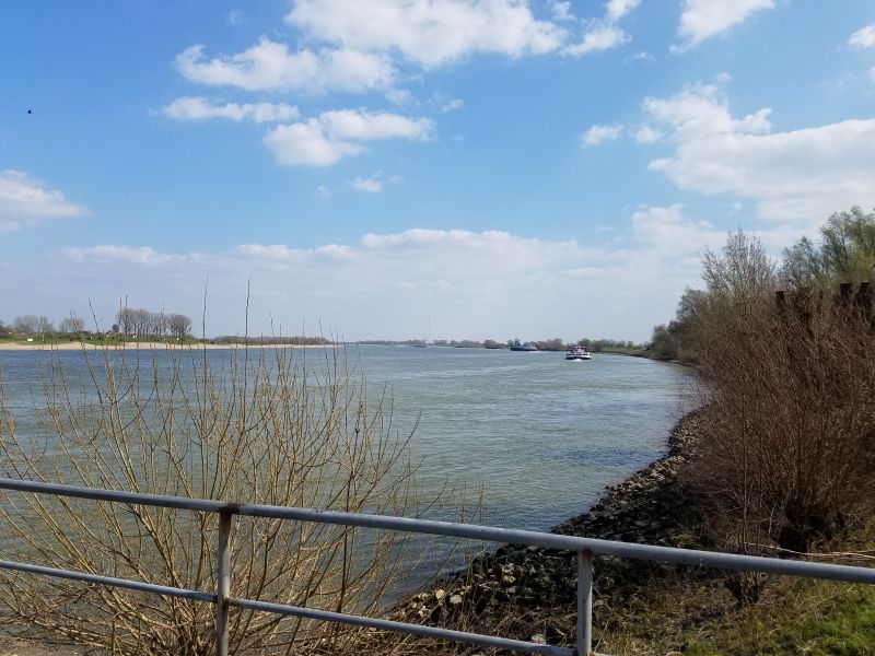 20190330_134145.jpg