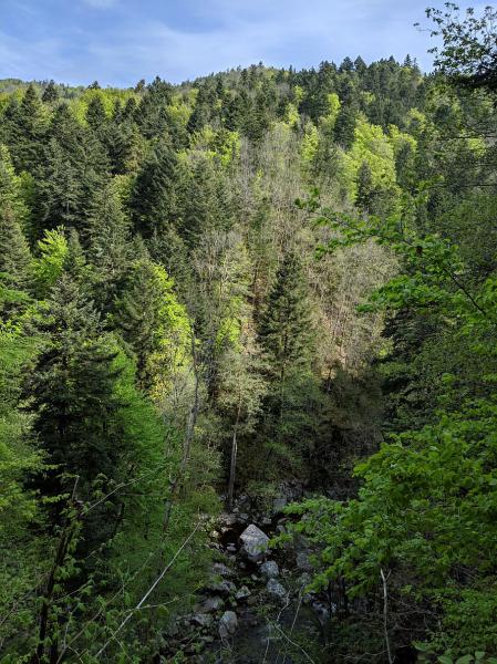 IMG_20190502_095715_Albtal.jpg