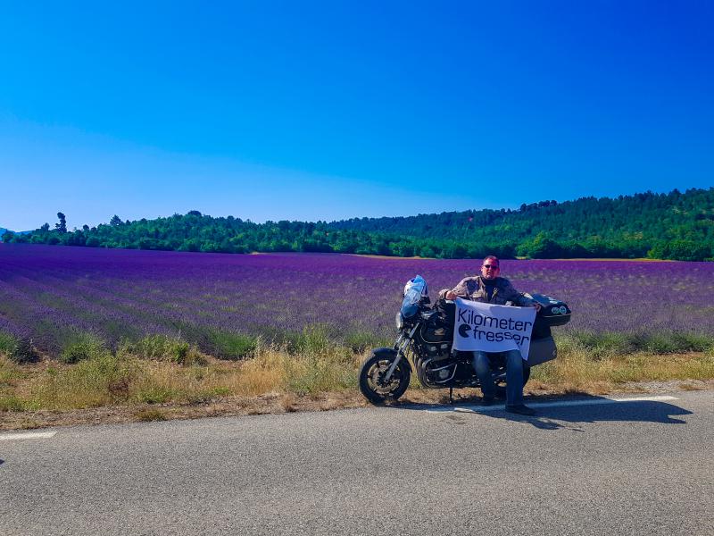 01 Valensole.jpg