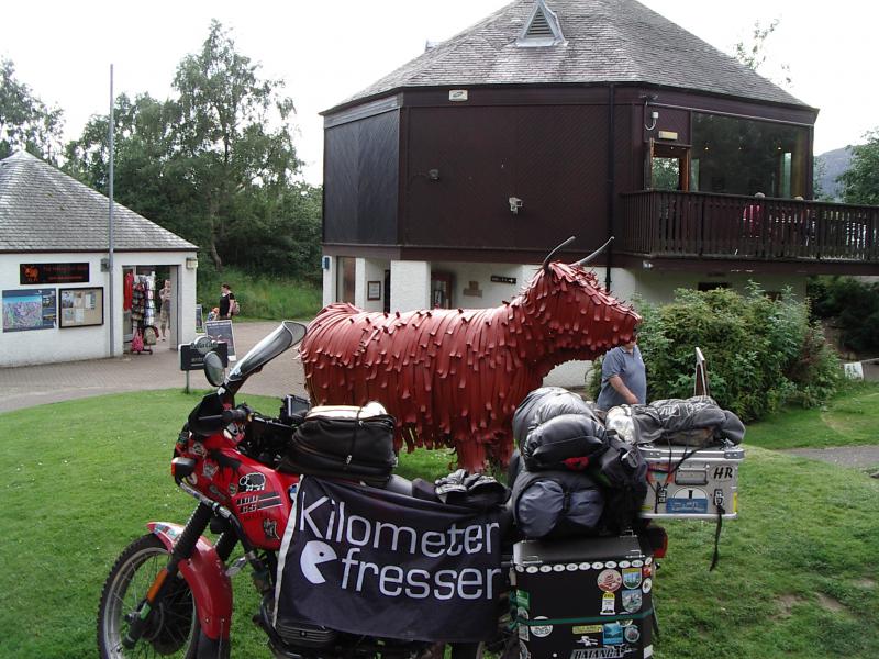 Newtonmore. haarige Kuh (1).JPG