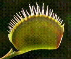 4A6BD272-A843-43A3-AEF5-C7A26348A0C1.gif