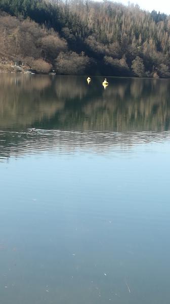 IMG_20210330_150945.jpg