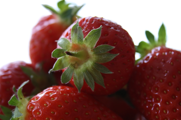 Frucht.jpg