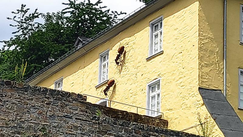 20210620_Schloß Homburg 1.jpg