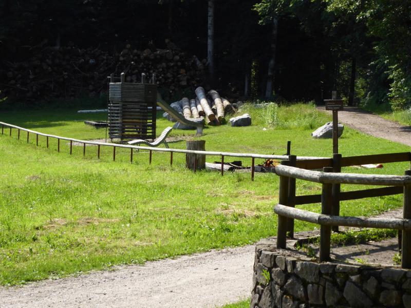 005Grillplatz Buchholzhütte2.JPG