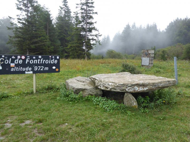 Fontfroide3.JPG