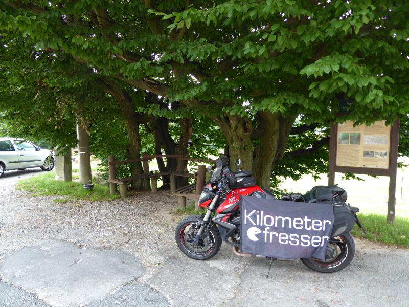 128-AmHockstein.JPG