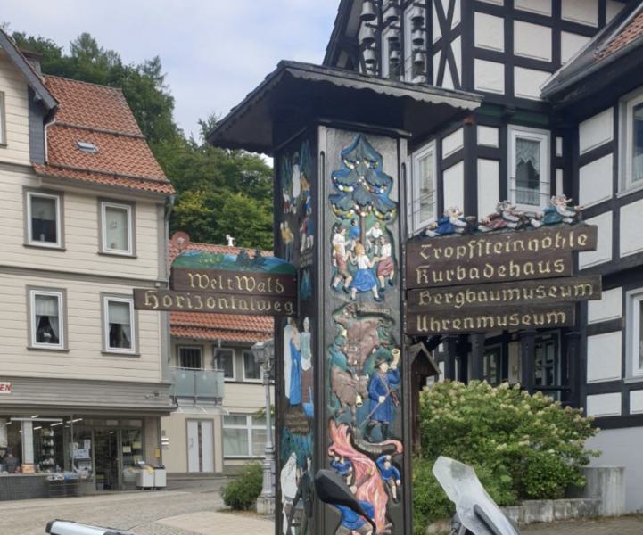 Ein scharf geschossenes Foto