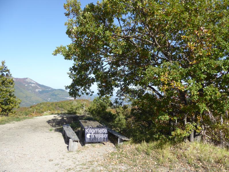 P1060058_Arbuceto1.JPG