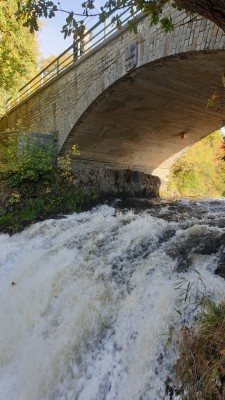 Bild2.jpg