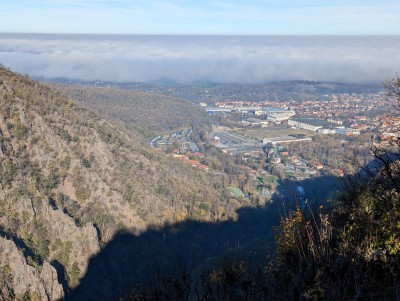 PXL_20221113_104552644.jpg