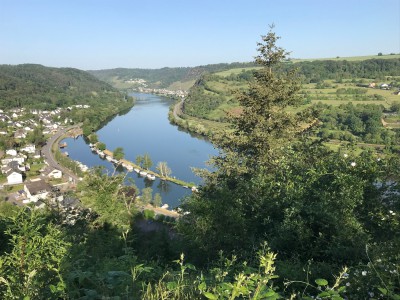 Hubertushöhe, Mosel bei Brodenbach  2.JPG