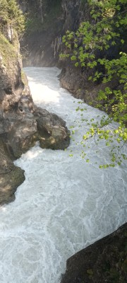 20230527_102650.jpg