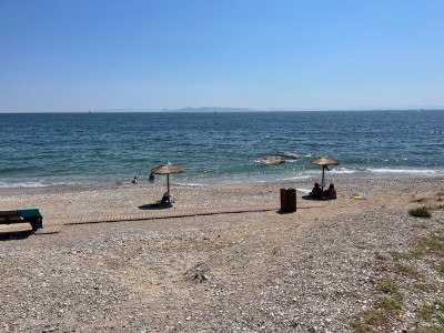 IMG_5926.jpeg