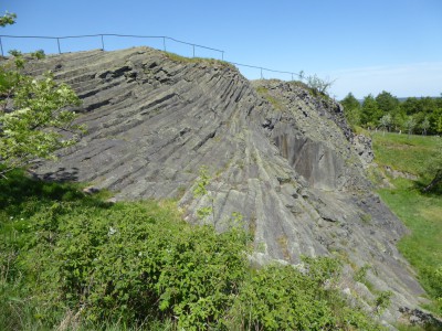 P1070004.JPG