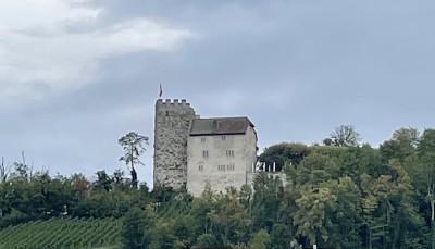 Habsburg Schweiz.jpg