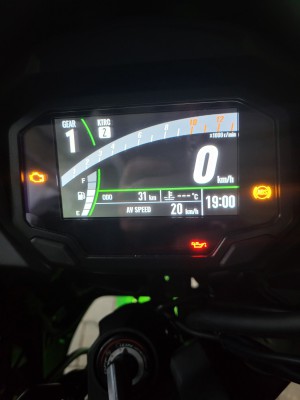 20230831_190209.jpg (260.09 KiB) 3024 mal betrachtet Zwei Kilometer hatte sie drauf, als ich sie abgeholt habe. Aber leider in der Aufregung das Foto vergessen.