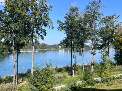 IMG_1276.jpeg