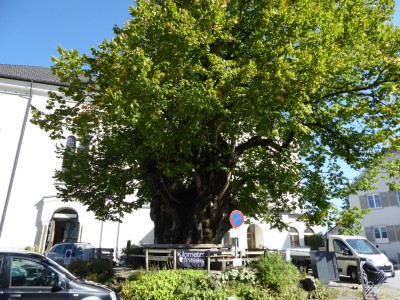 P1080218 Alberschwende.JPG
