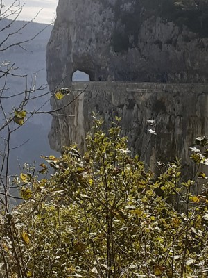 20230912_120231_copy_976x1301.jpg