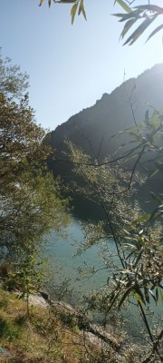 20231003_093434.jpg