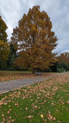 PXL_20231101_135756466.jpg
