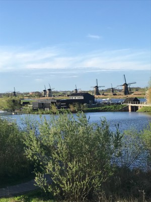IMG_9286.jpeg
