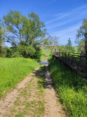 IMG_20240512_112702.jpg