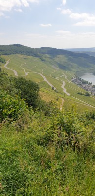 20240607_112950[1].jpg