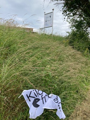 IMG_1992.jpeg