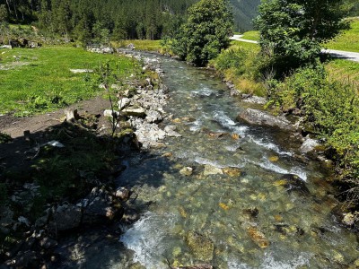 IMG_1963.jpeg