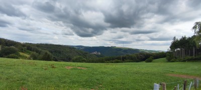 IMG_20240724_114712.jpg