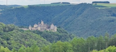 IMG_20240724_114724.jpg