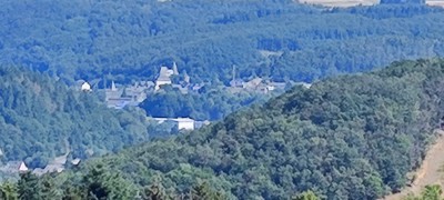 IMG_20240725_102224.jpg