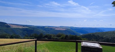 IMG_20240725_104445.jpg