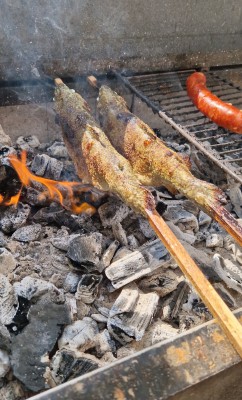 IMG_2223.jpeg
