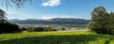 IMG_2334.jpeg