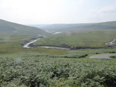 P1100173.JPG
