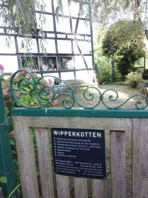W2.jpg