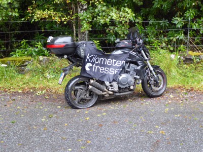 P1100475.JPG