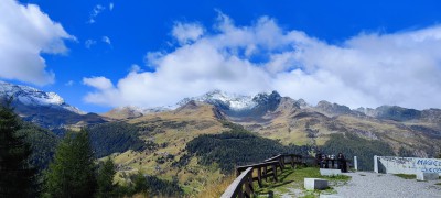IMG_20240928_123711.jpg