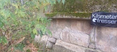 20241027_115305.jpg