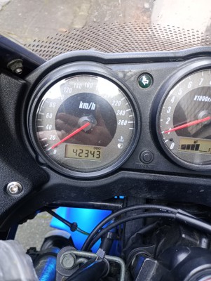 Z 11 2024.jpg