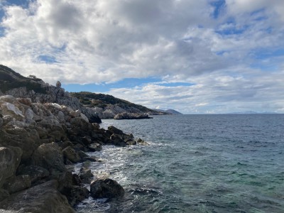 IMG_3700.jpeg