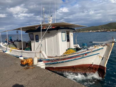 IMG_3707 2.jpeg
