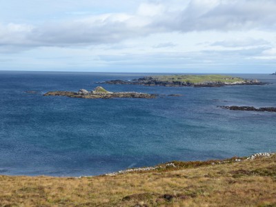 P1100534.JPG